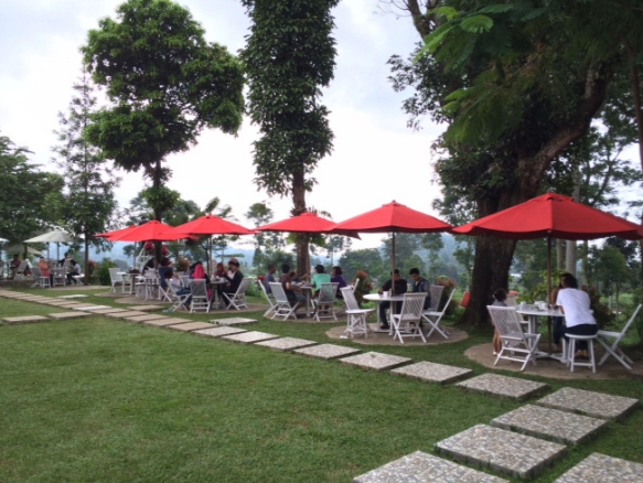 rumah-teh-ndoro-dongker-menikmati-teh-alami-di-hamparan-kebun-teh