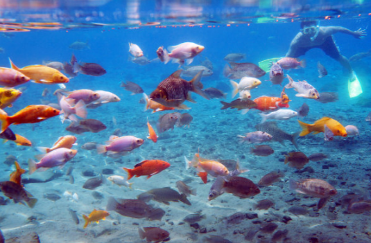 5-obyek-wisata-kekinian-di-klaten
